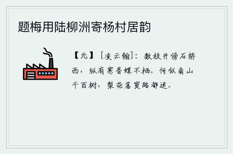 题梅用陆柳洲寄杨村居韵，几枝梅花在石桥的西边盛开,即使有阵阵寒气袭人,蝴蝶也难以栖息。哪里比得上南山上千百棵大树,梨花寂寞地飘落在路旁,使人感到迷乱。