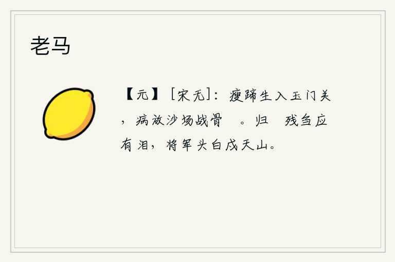老马