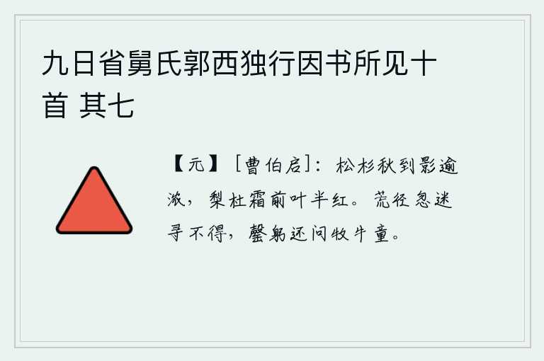 九日省舅氏郭西独行因书所见十首 其七