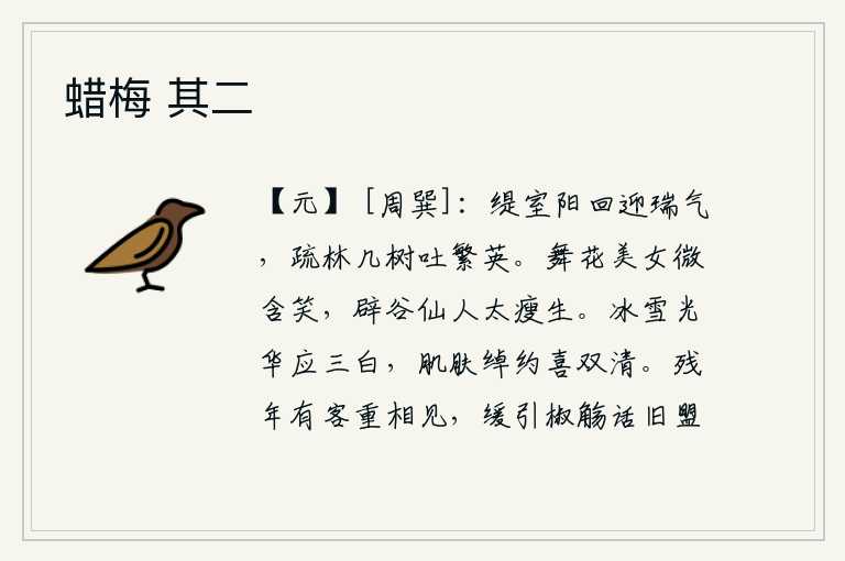 蜡梅 其二