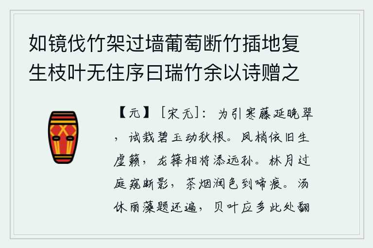 如镜伐竹架过墙葡萄断竹插地复生枝叶无住序曰瑞竹余以诗赠之,为了引来寒冷的藤蔓,让它在傍晚时分变得翠绿;试着栽上碧玉般洁白的果实,使它在秋天里摇动它的根部。凤凰的梢头依旧发出空虚的鸣叫声,龙箨和凤凰相继长出孙子。林间的明