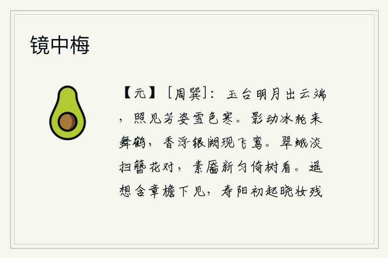 镜中梅