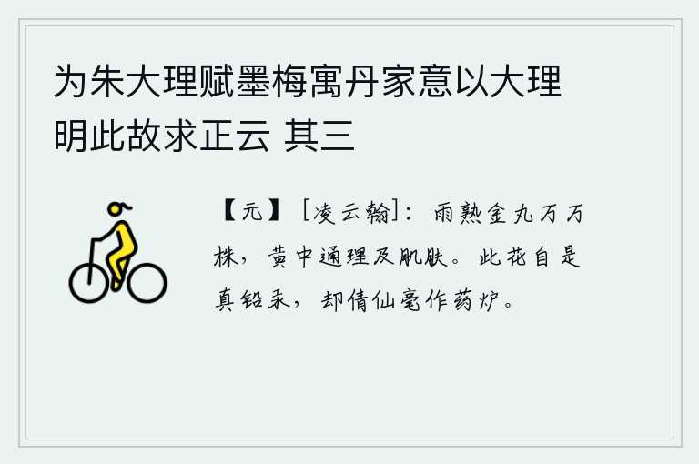 为朱大理赋墨梅寓丹家意以大理明此故求正云 其三，像雨点一样成熟的金丸有成千上万株,它的黄色可以通达人体肌肤。桂花本是纯粹的铅汞,却需要仙人的笔墨来制成炼丹的药炉。